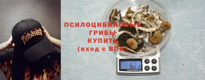 Псилоцибиновые грибы Magic Shrooms  где купить   Красноуральск 